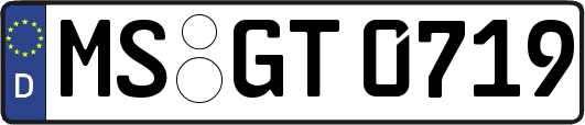 MS-GT0719