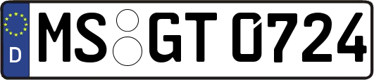 MS-GT0724