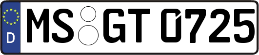 MS-GT0725