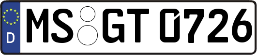 MS-GT0726
