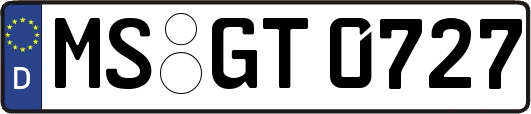 MS-GT0727