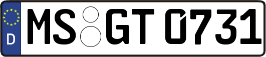 MS-GT0731