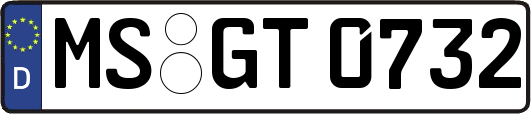 MS-GT0732