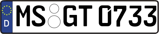 MS-GT0733
