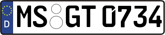 MS-GT0734