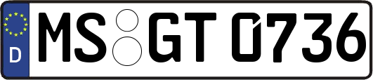 MS-GT0736