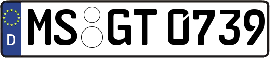 MS-GT0739
