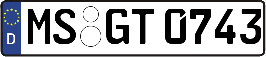 MS-GT0743