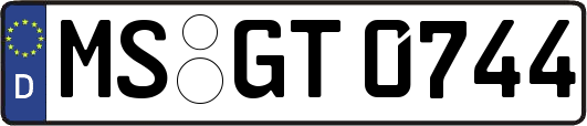 MS-GT0744