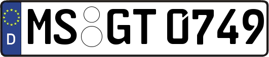MS-GT0749