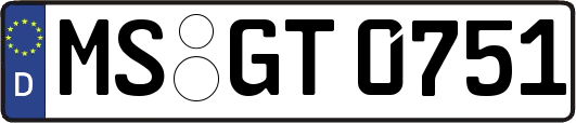 MS-GT0751