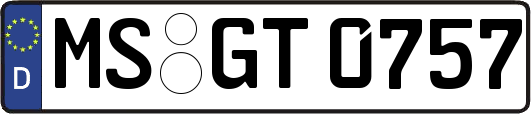 MS-GT0757