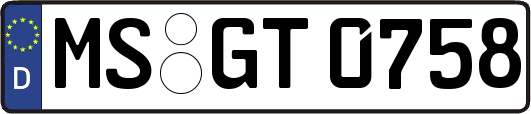 MS-GT0758
