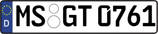 MS-GT0761