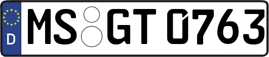 MS-GT0763