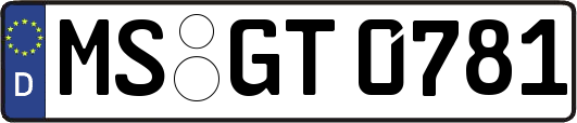 MS-GT0781