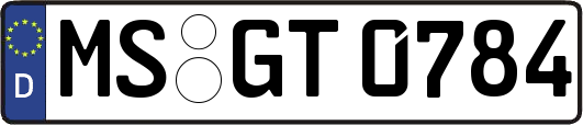 MS-GT0784