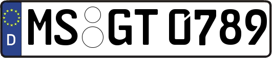 MS-GT0789