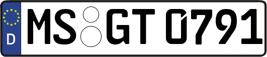 MS-GT0791