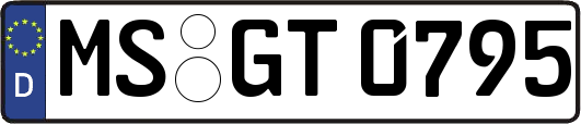 MS-GT0795