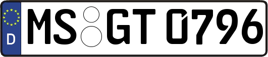 MS-GT0796