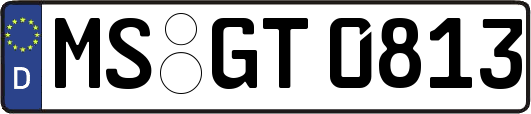MS-GT0813