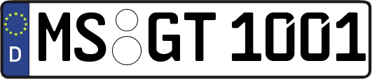MS-GT1001
