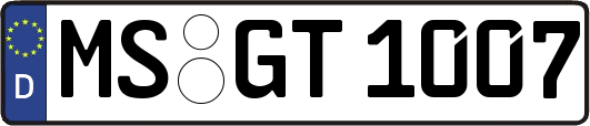 MS-GT1007