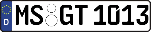 MS-GT1013