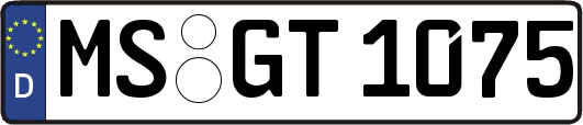 MS-GT1075
