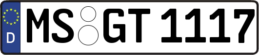 MS-GT1117