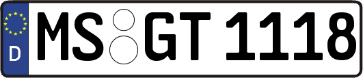 MS-GT1118