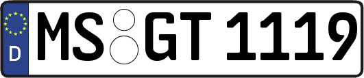 MS-GT1119