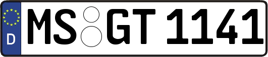 MS-GT1141