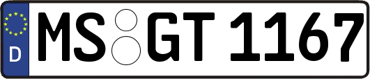 MS-GT1167