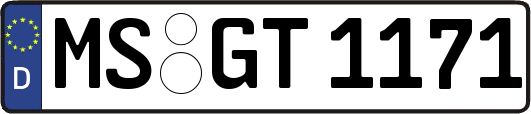 MS-GT1171
