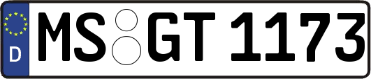 MS-GT1173