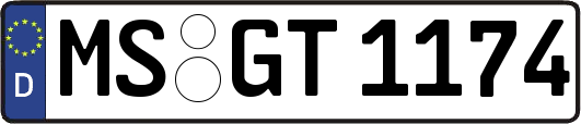 MS-GT1174
