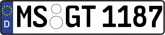 MS-GT1187