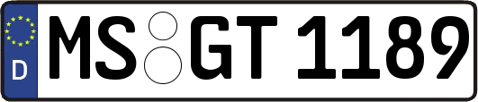 MS-GT1189