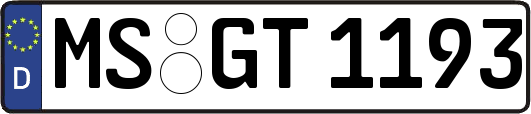 MS-GT1193