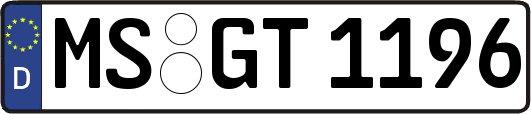 MS-GT1196