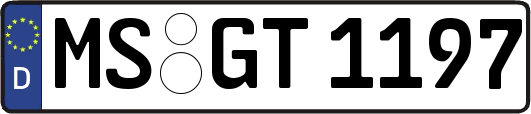 MS-GT1197