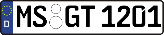 MS-GT1201