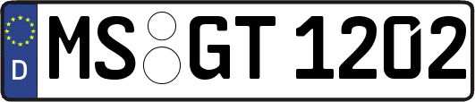 MS-GT1202