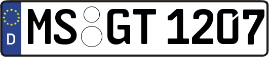 MS-GT1207