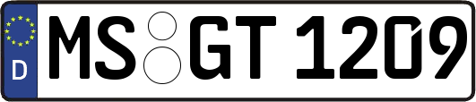 MS-GT1209