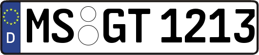 MS-GT1213