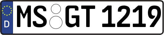 MS-GT1219