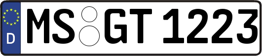 MS-GT1223
